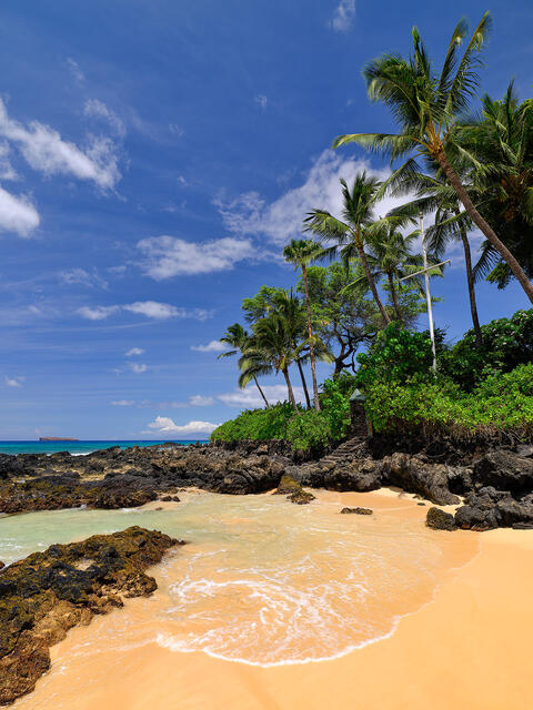 a picture of secret beach in Makena on the Hawaiian island of Maui featuring coconut palm trees on the right and an incoming wave along the white sand