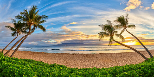 panoramic scene captured at the world famous Ka'anapali Beach on the Hawaiian island of Maui.  The scene features coconut palms, a surfer and a sailboat 