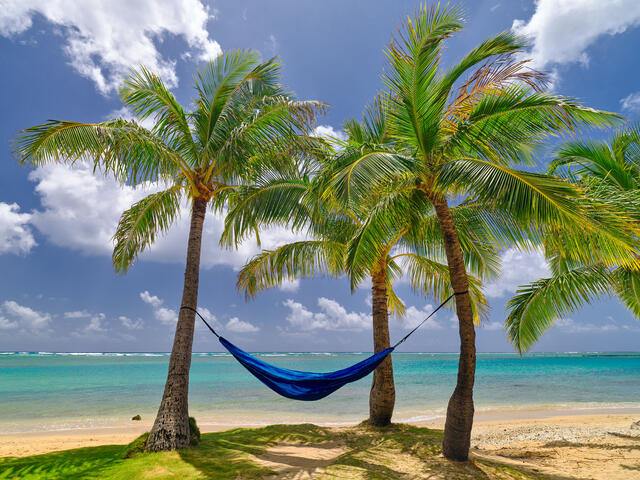 a hammock in coconut palms trees along the beautiful Kahala beach located on Oahu, Hawaii.  Photography for sale by Andrew Shoemaker