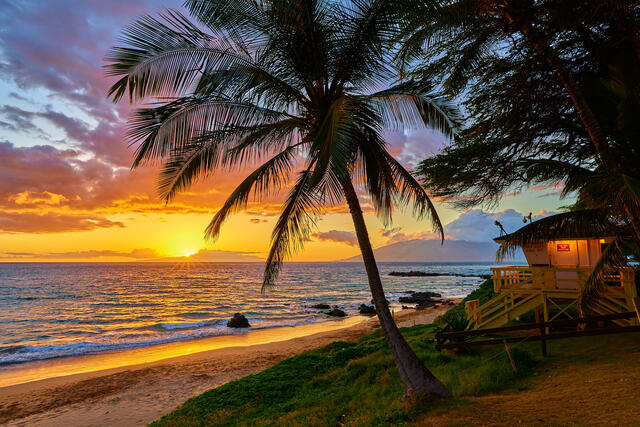 sunset along kamaole 3 beach in Kihei featuring a coconut palm tree and lifeguard shack 