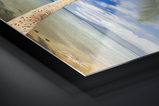  print preview