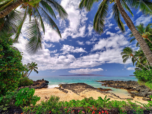 a beautiful photograph of Makena Cove (Secret Beach) on is the Hawaiian island of Maui framed by coconut palm trees.  Hawaii Photography by Andrew Shoemaker