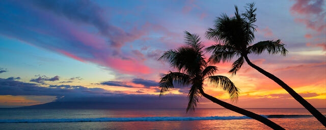 panoramic sunset photograph featuring two palms on Kaanapali Beach on the island of Maui, Hawaii.  