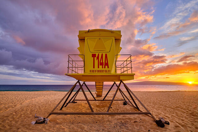 New Releases | Fine Art Photography