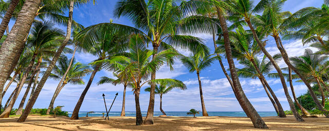 A panoramic view at Mama's Fish House on Maui by fine art photographer Andrew Shoemaker