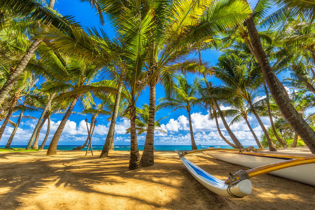 Tropical Paradise | Hawaiian Fine Art For Sale