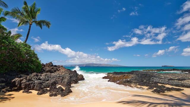 A secluded Maui cove with turquoise water, golden sand, lava rocks, and a leaning palm tree under a bright blue sky.