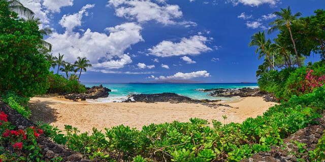 panorama of Secret Beach on the island of Maui with no people, foliage and red flowers in the foreground on a crystal clear Hawaiian day 