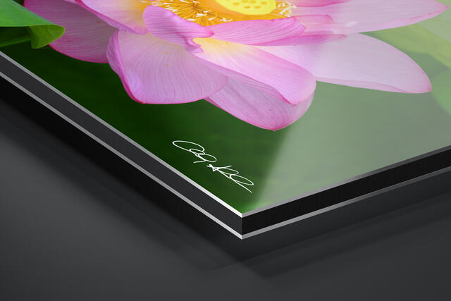  print preview
