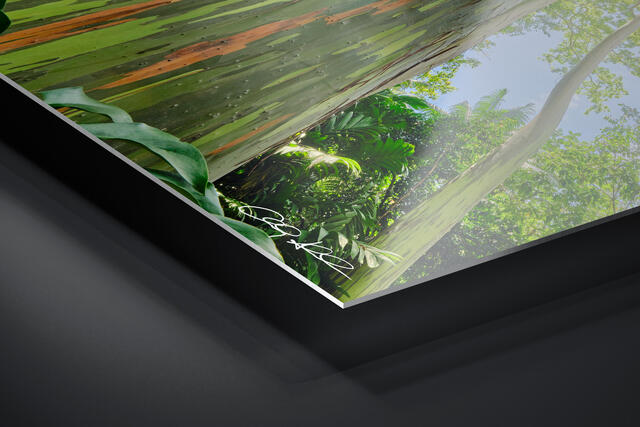  print preview