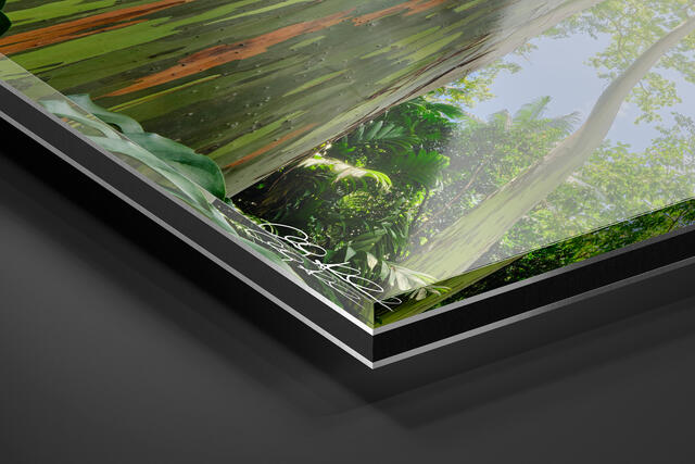  print preview