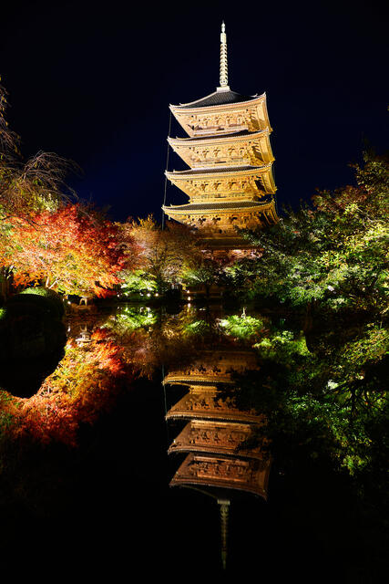 night image of an illuminated pagoda and fall colors reflecting into the water which appears like a mirror 