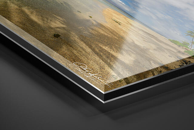  print preview