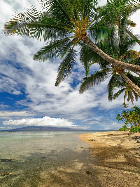 a beautiful view down Baby beach in Lahaina as the beach is thriving after the fires that devastated Lahaina in August of 2023
