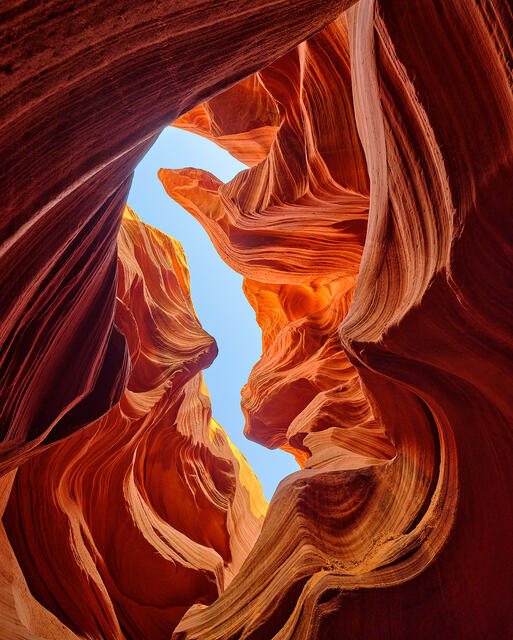 an abstract photographic image that resembles a seahorse while looking upward in lower antelope canyon.  American Southwest Fine Art by Andrew Shoemaker