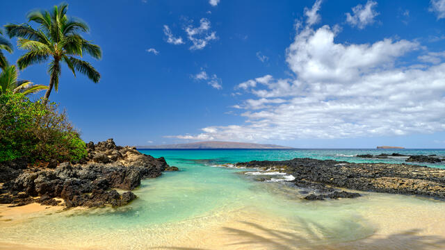 a beautiful panoramic photograph captured by Andrew Shoemaker at Secret Beach on Maui, Hawaii featuring calm aqua blue water and palm trees.