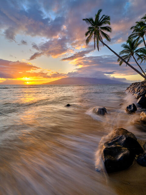 Sunset from Kihei with palm trees, ocean waves, and golden skies on Maui’s coastline, captured in a tranquil seascape.
