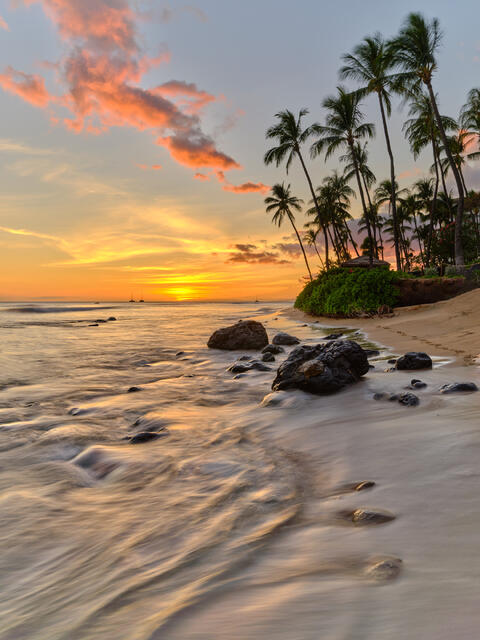 Tiki Torch is a fine art photograph of sunset at the beautiful Kaanapali Beach featuring palm trees, waves, and the sunset resembles a tiki torch with the palms