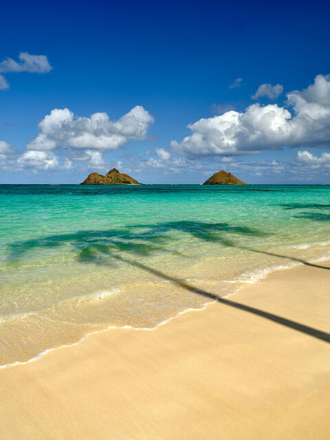 Lanikai Beach at sunrise with the Mokulua Islands, soft waves, golden sand, and a palm tree shadow stretching across the shore.