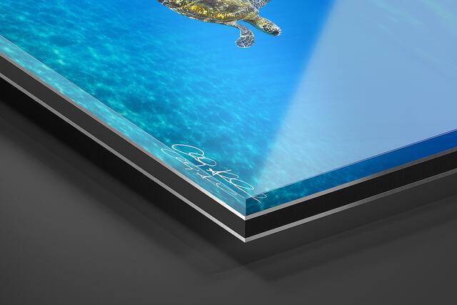 print preview