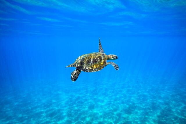 New Releases | Fine Art Photography