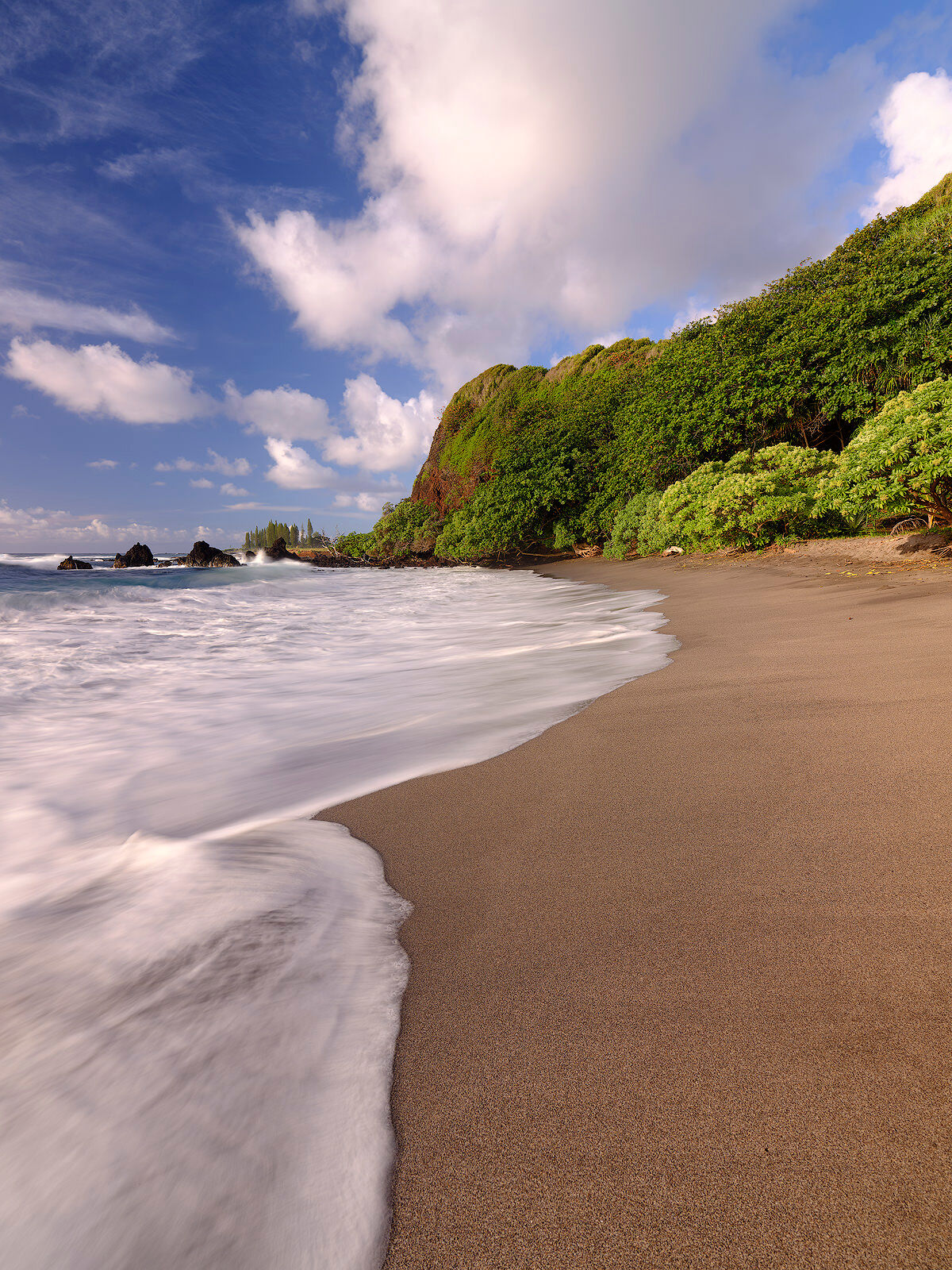 Ascension portrait orientation of Hamoa Beach on the island of Maui with a blue and a wave across the sand in the foreground