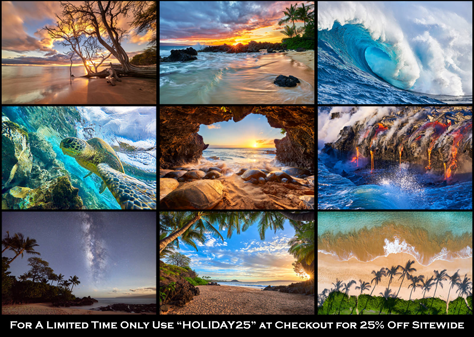 182 Photo Gallery | Pacific Green Furniture | Andrew Shoemaker