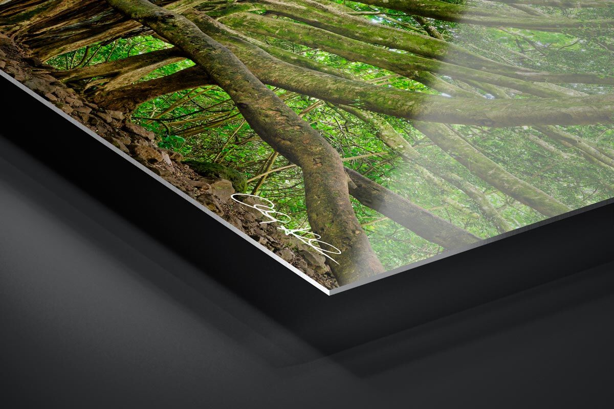 HD Metal Print | Ready to Hang print preview