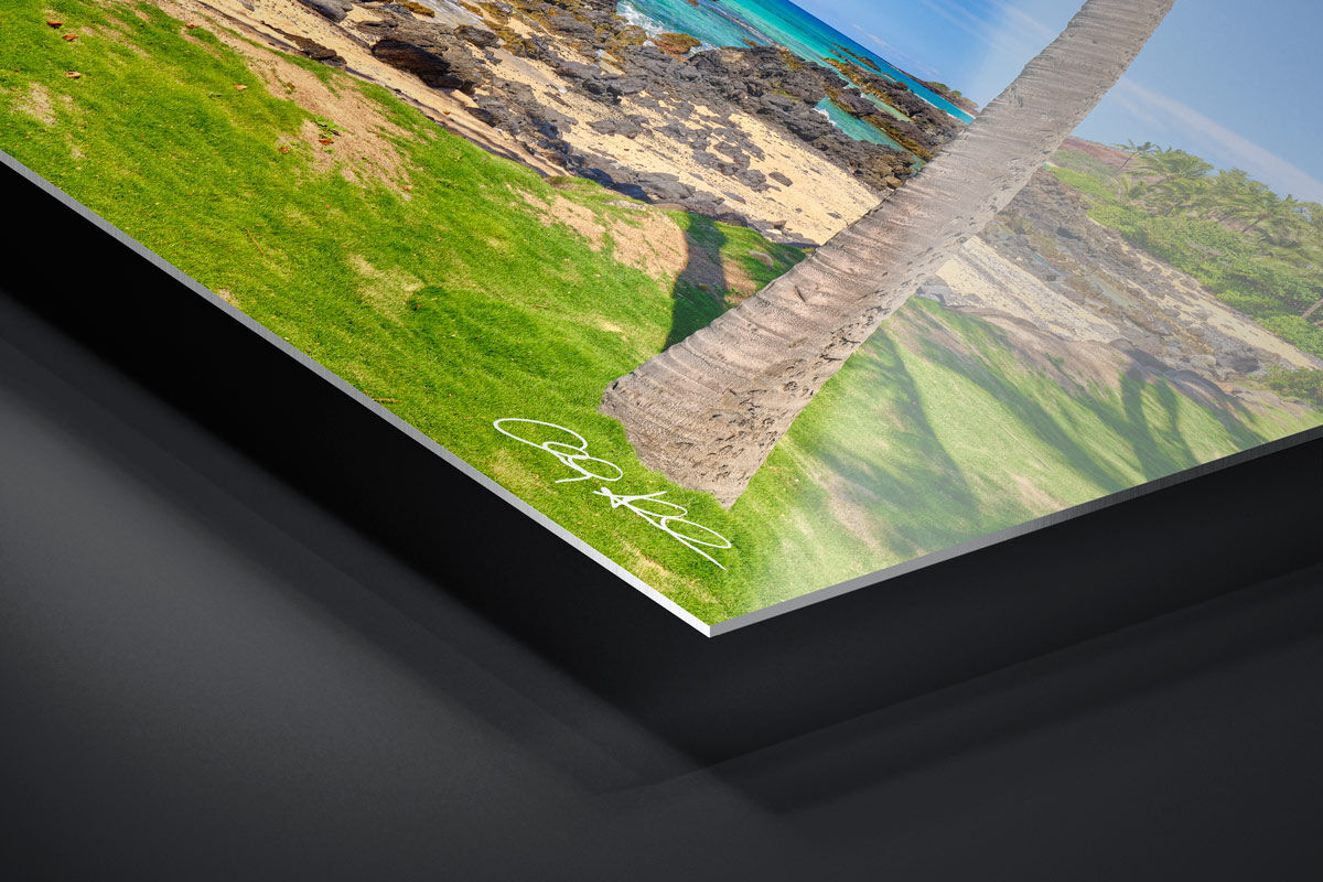 HD Metal Print | Ready to Hang print preview
