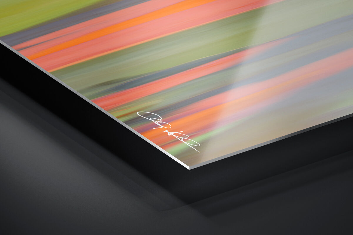 HD Metal Print | Ready to Hang print preview