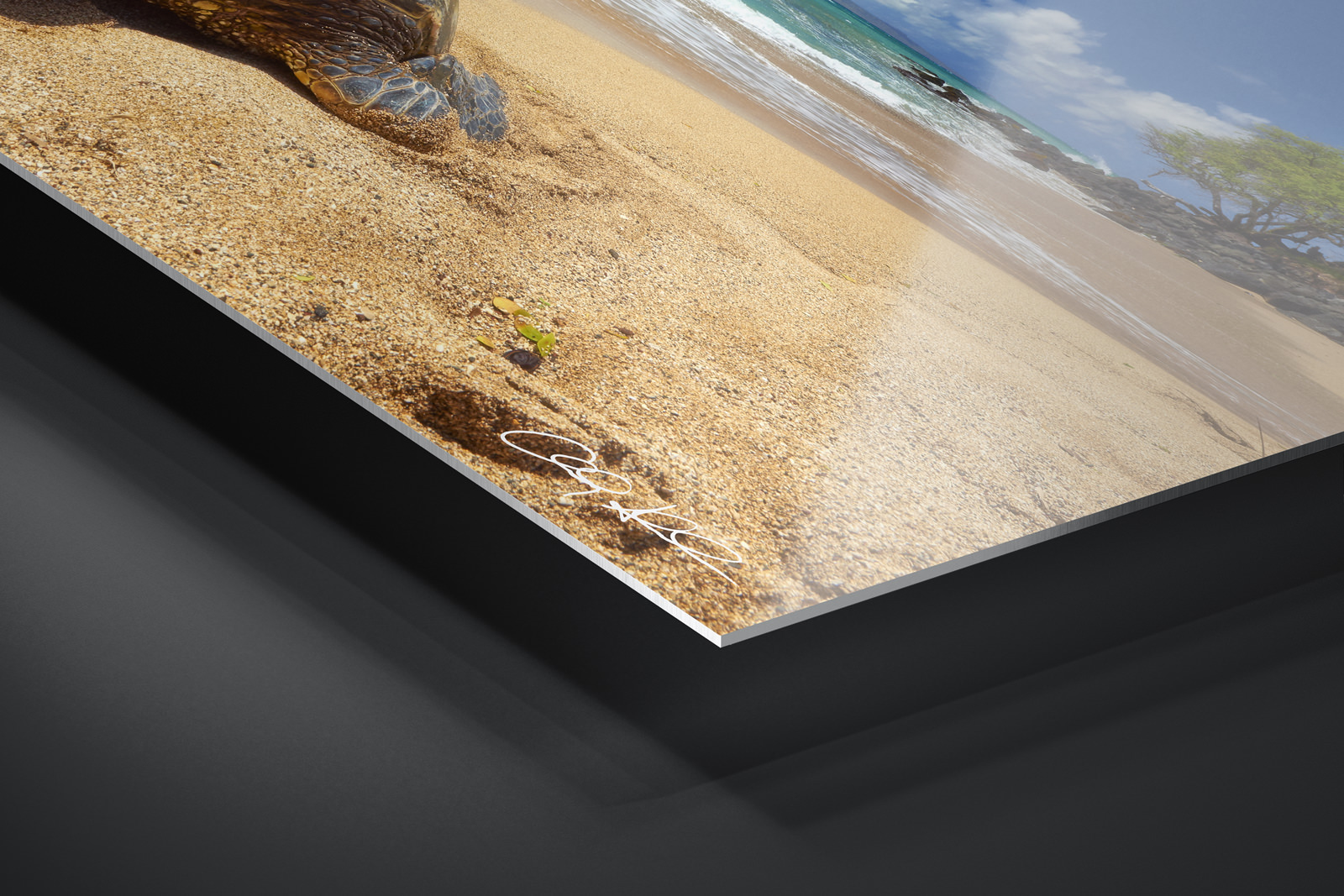 HD Metal Print | Ready to Hang print preview
