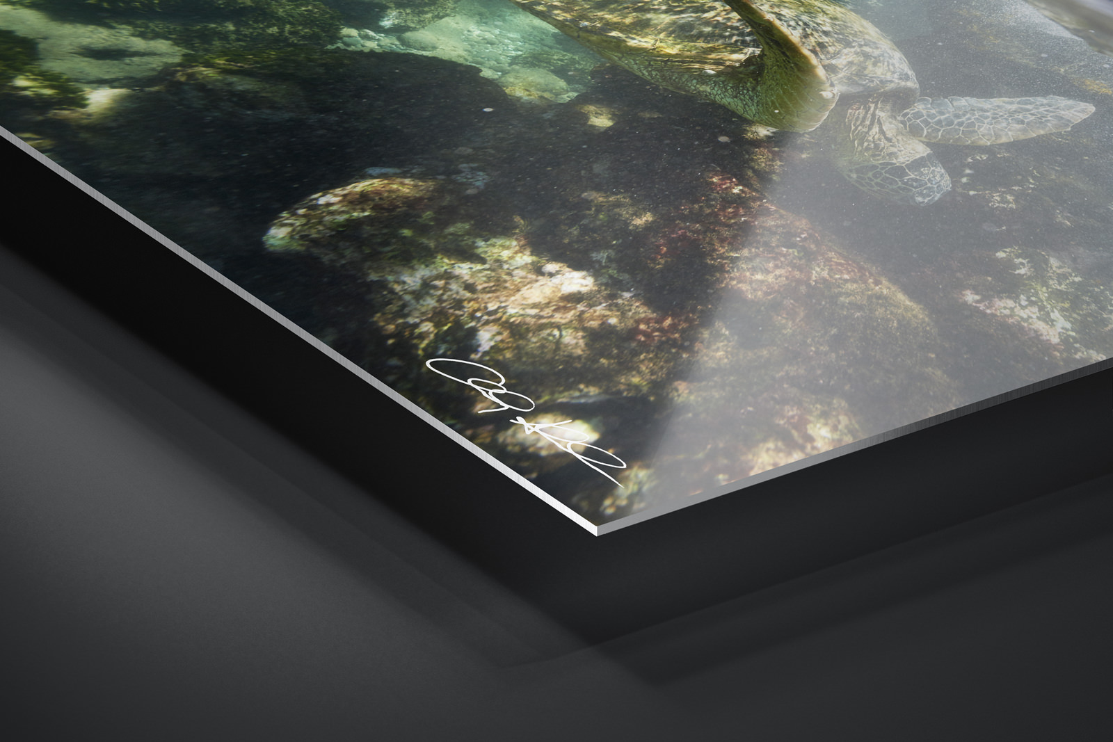 HD Metal Print | Ready to Hang print preview