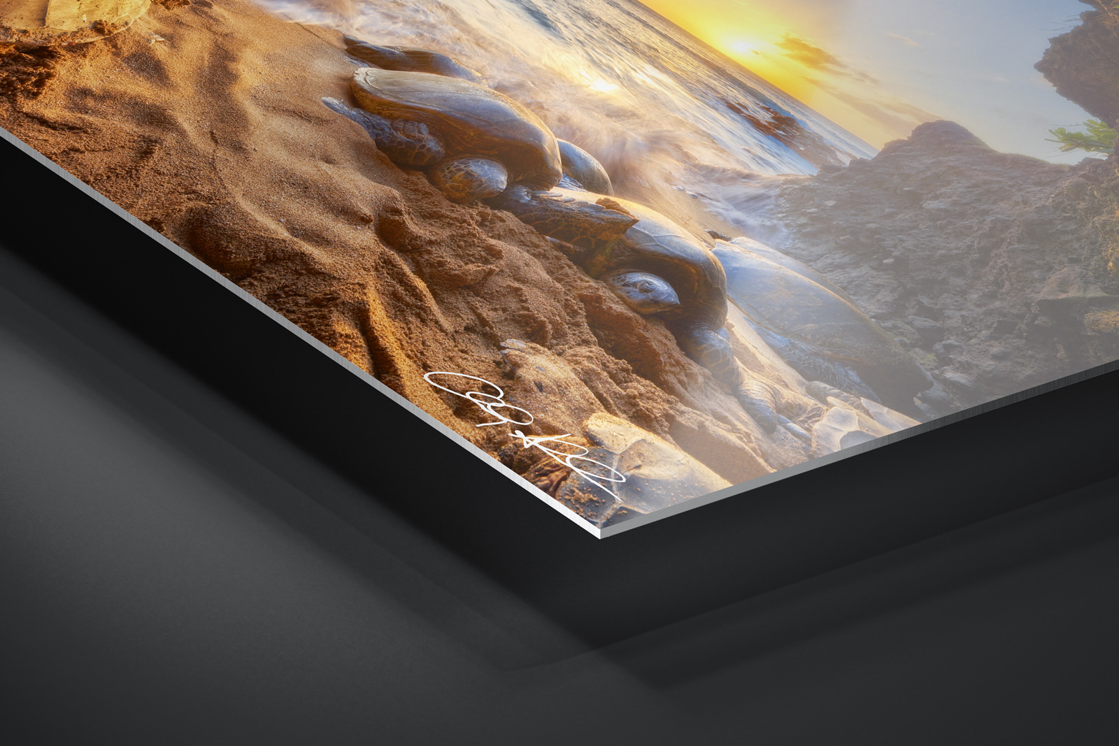 HD Metal Print | Ready to Hang print preview