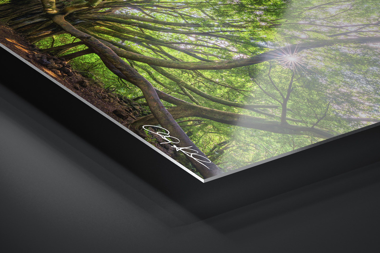 Metal Print | Ready to Hang print preview