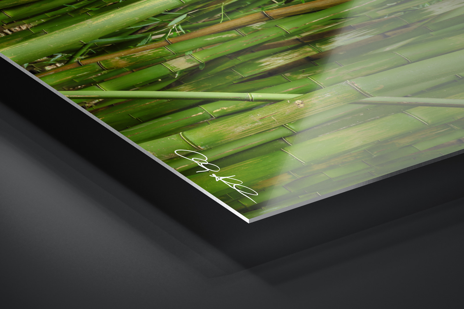 HD Metal Print | Ready to Hang print preview