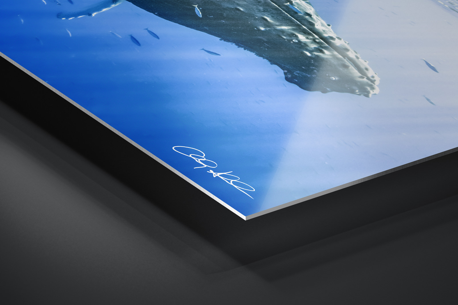 HD Metal Print | Ready to Hang print preview