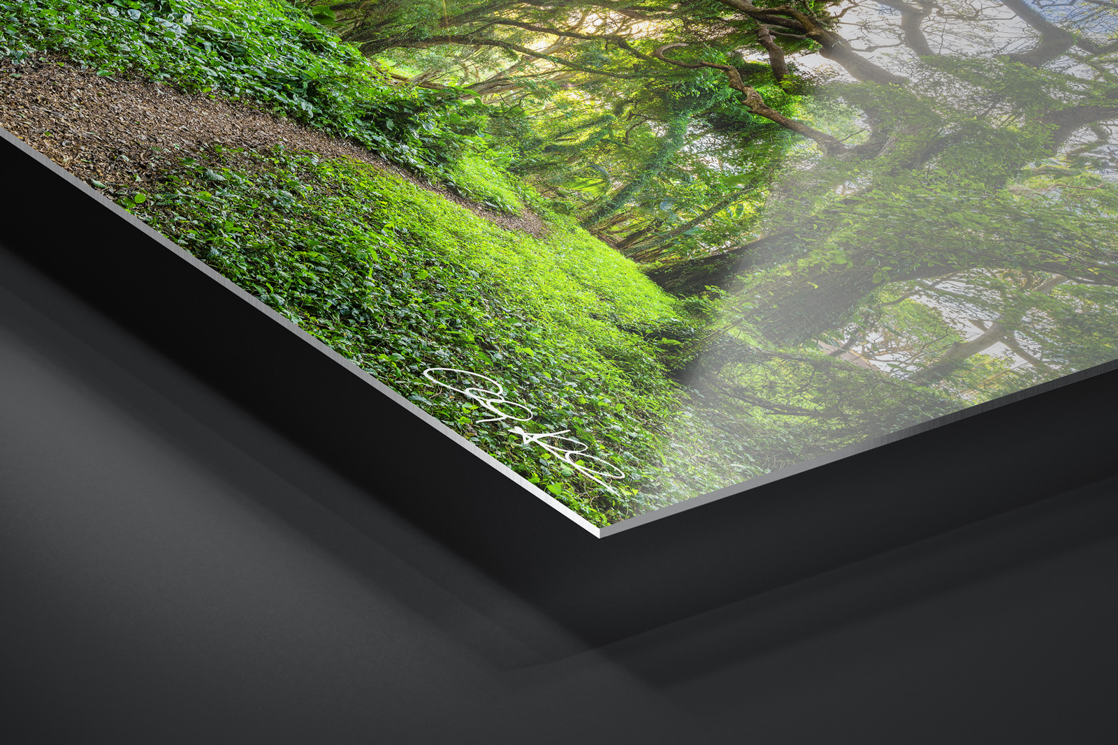 HD Metal Print | Ready to Hang print preview