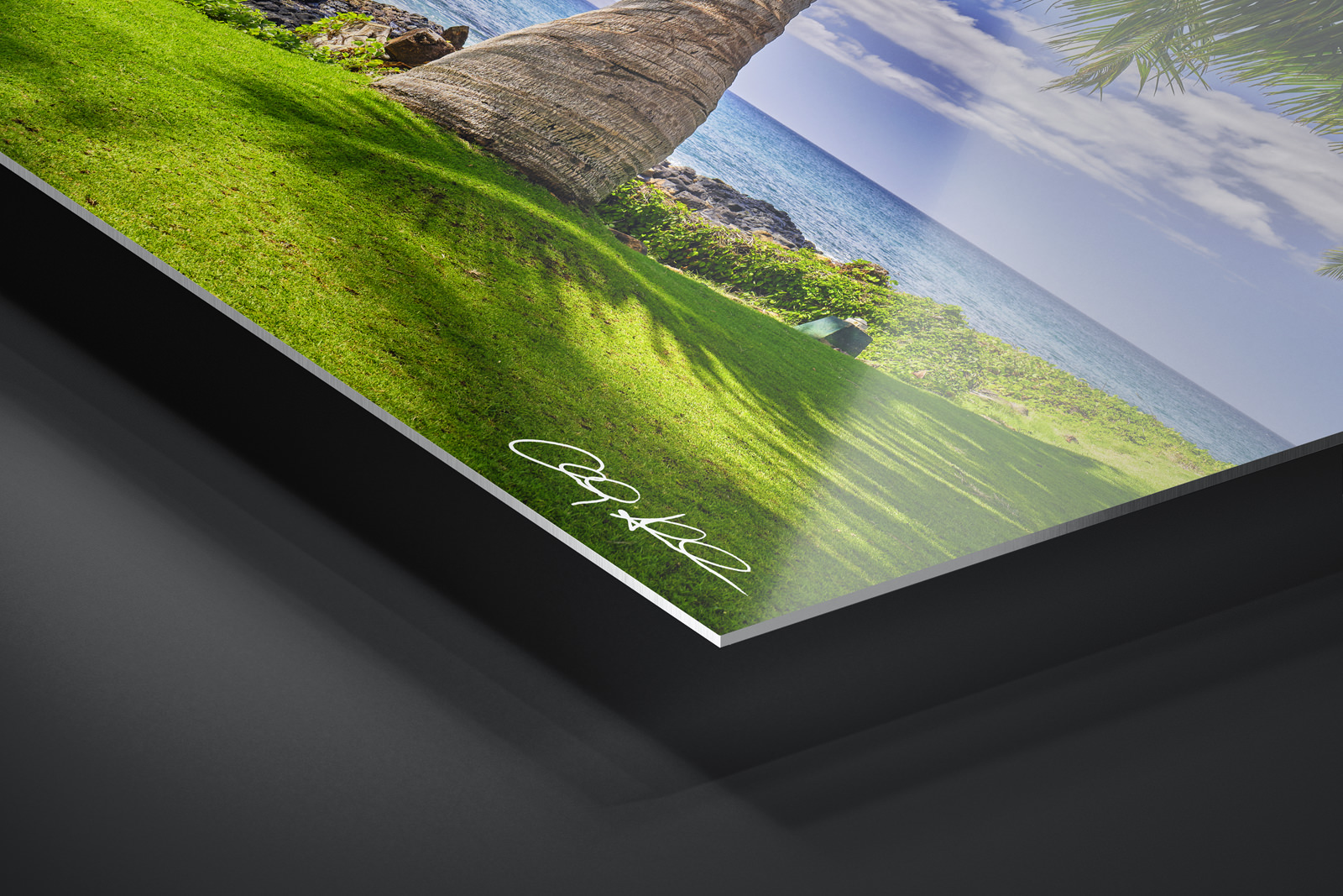 HD Metal Print | Ready to Hang print preview