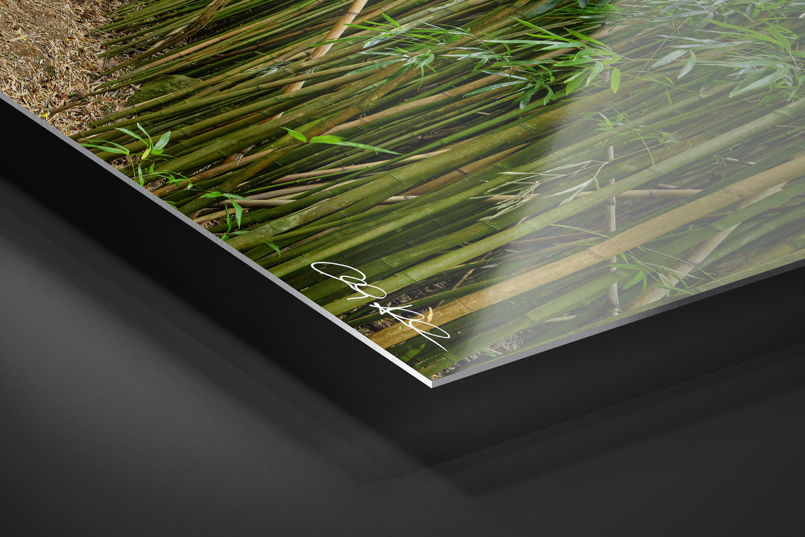 HD Metal Print | Ready to Hang print preview