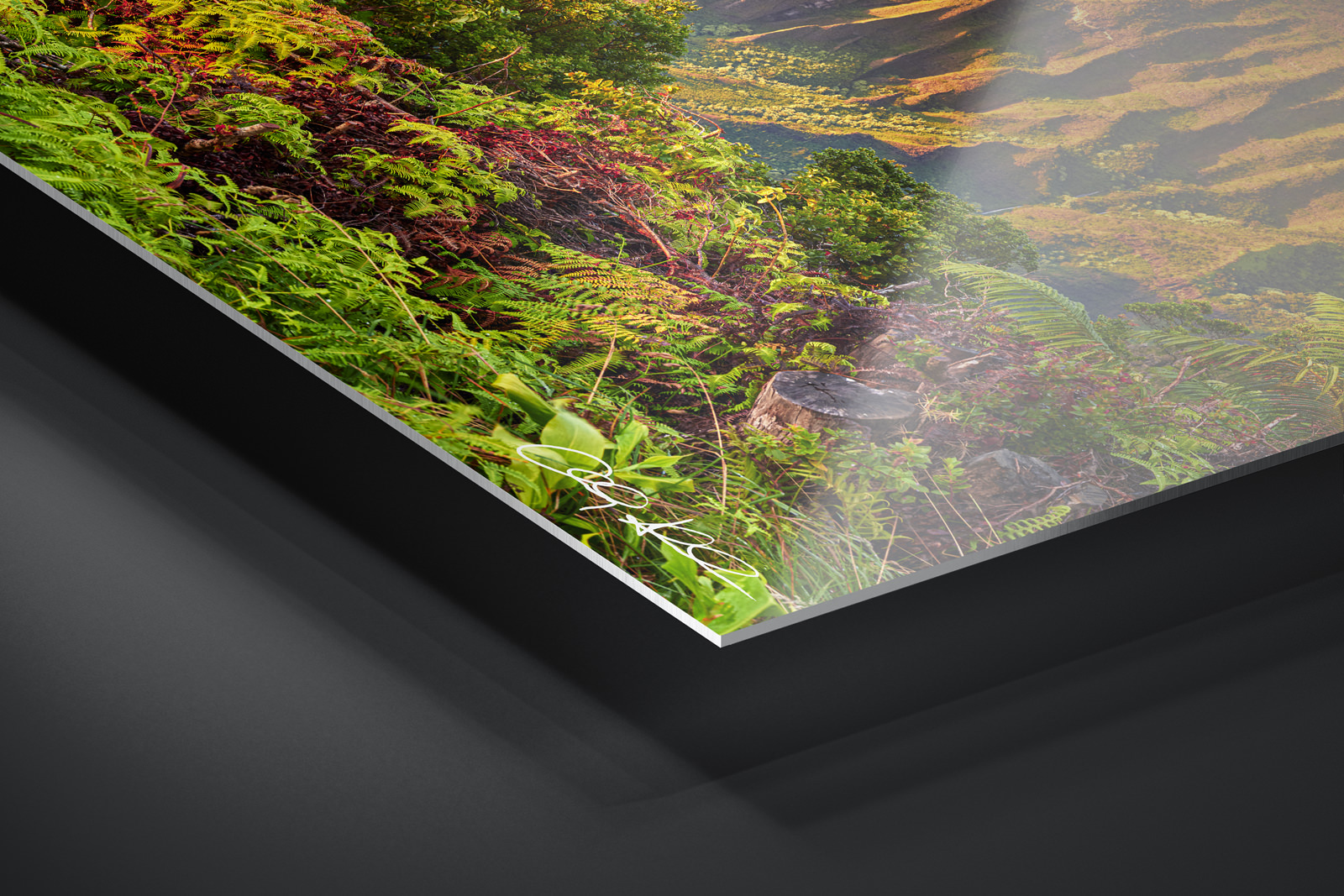 HD Metal Print | Ready to Hang print preview