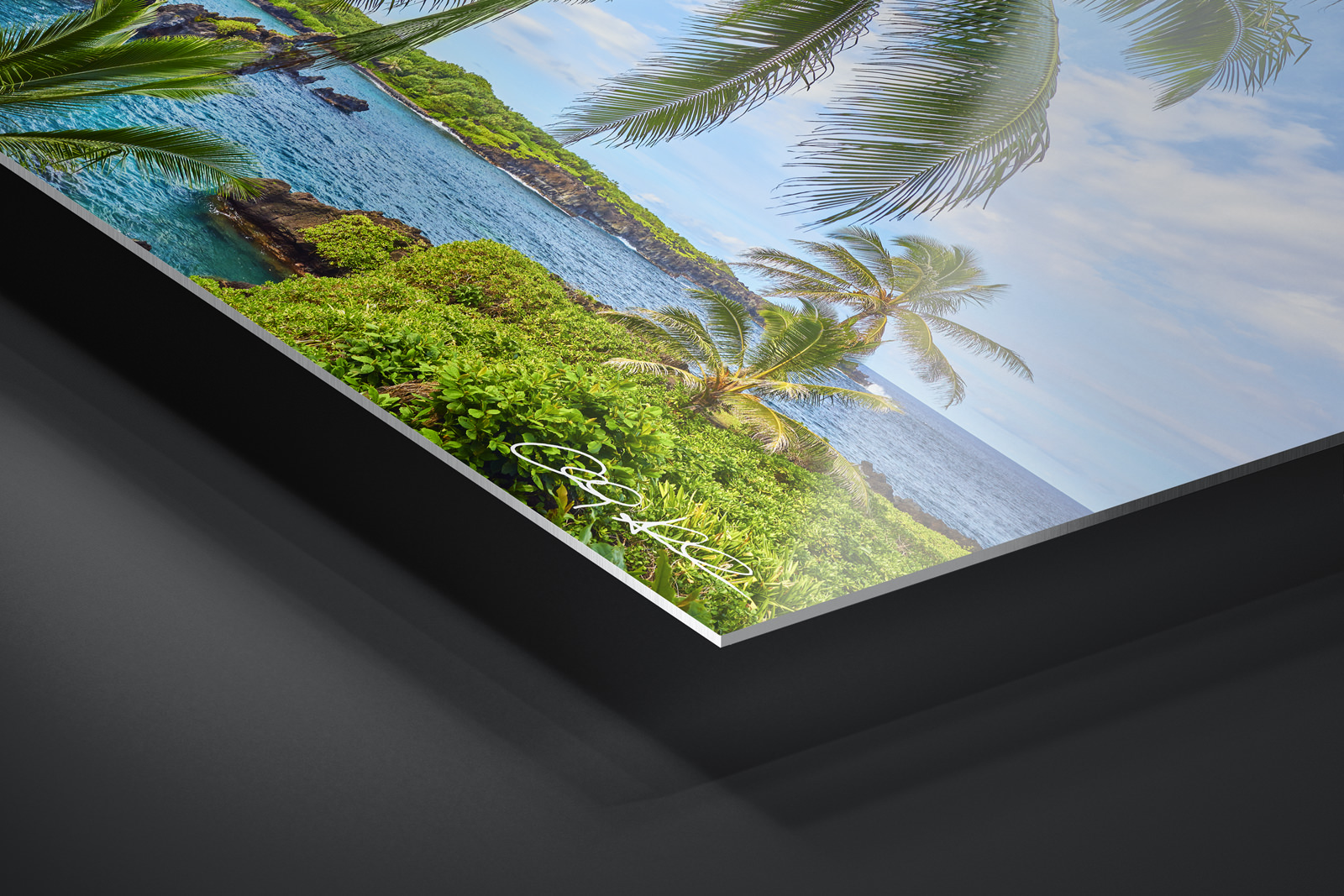 HD Metal Print | Ready to Hang print preview