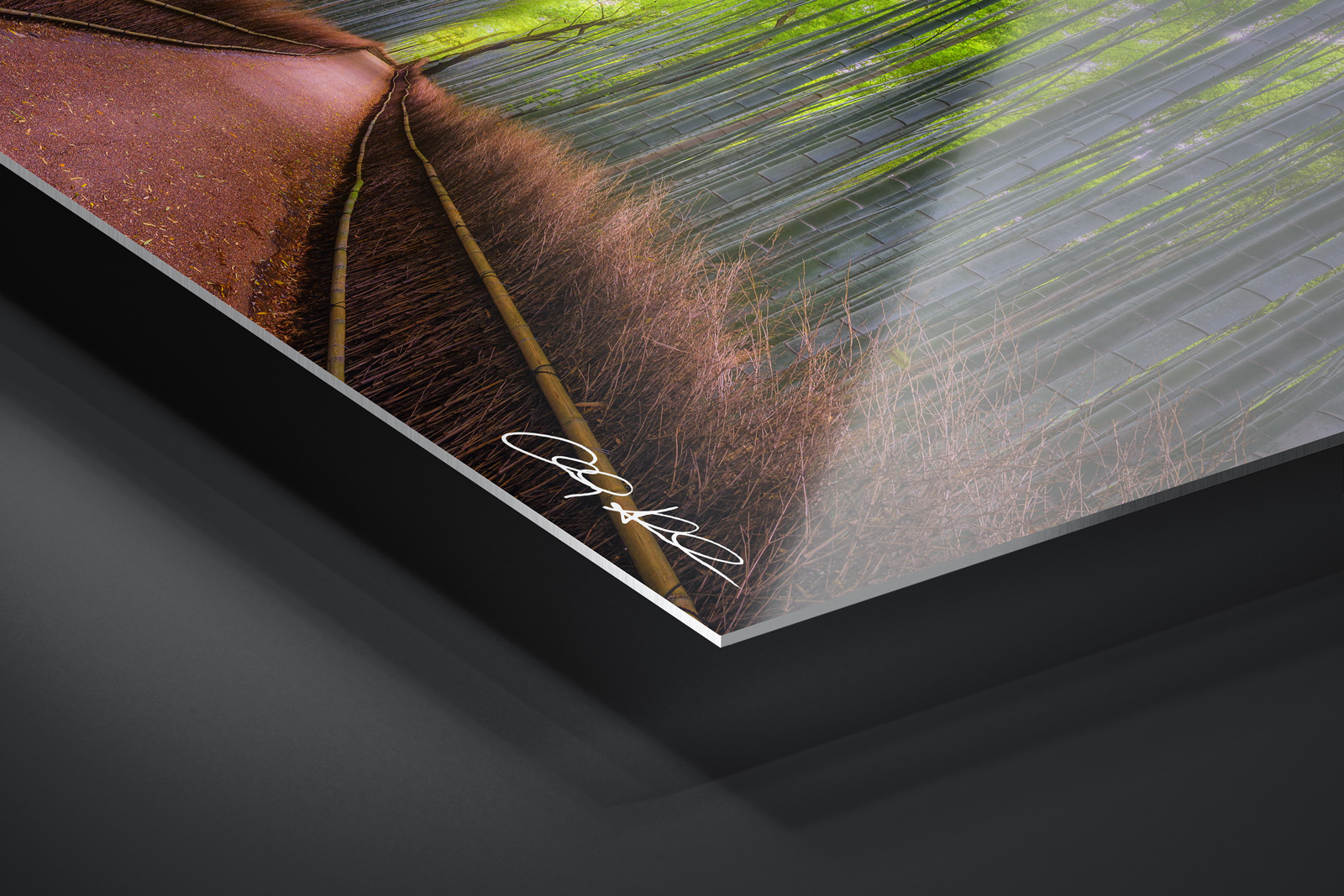 HD Metal Print | Ready to Hang print preview