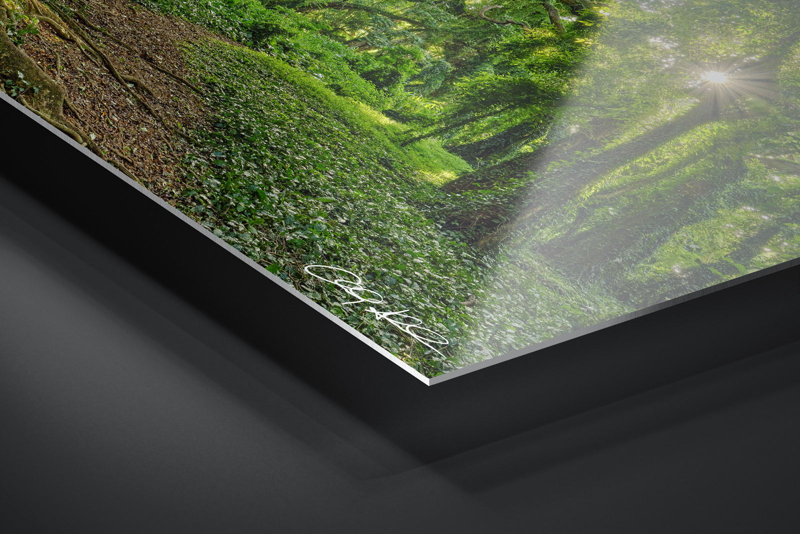 HD Metal Print | Ready to Hang print preview