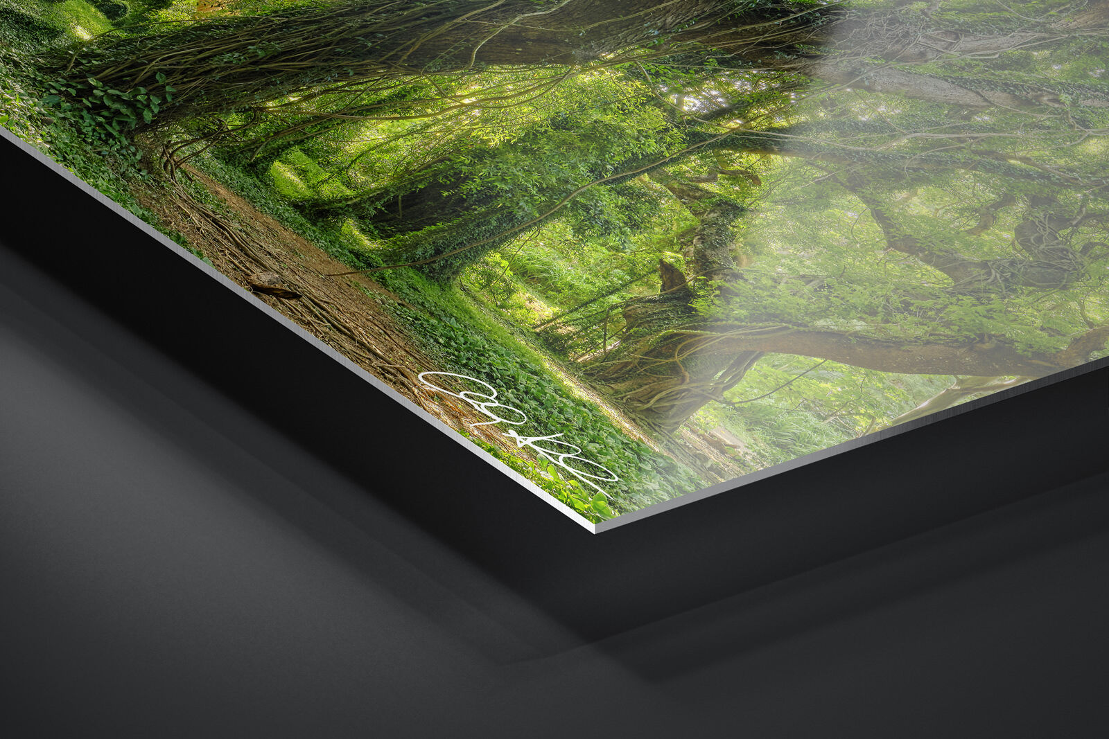 HD Metal Print | Ready to Hang print preview