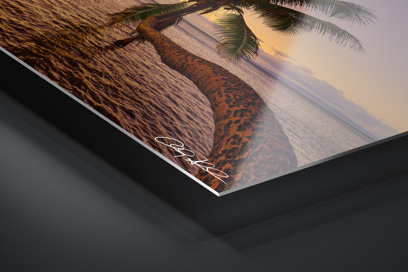HD Metal Print | Ready to Hang print preview