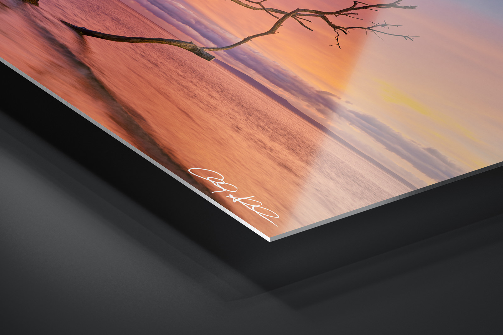 HD Metal Print | Ready to Hang print preview