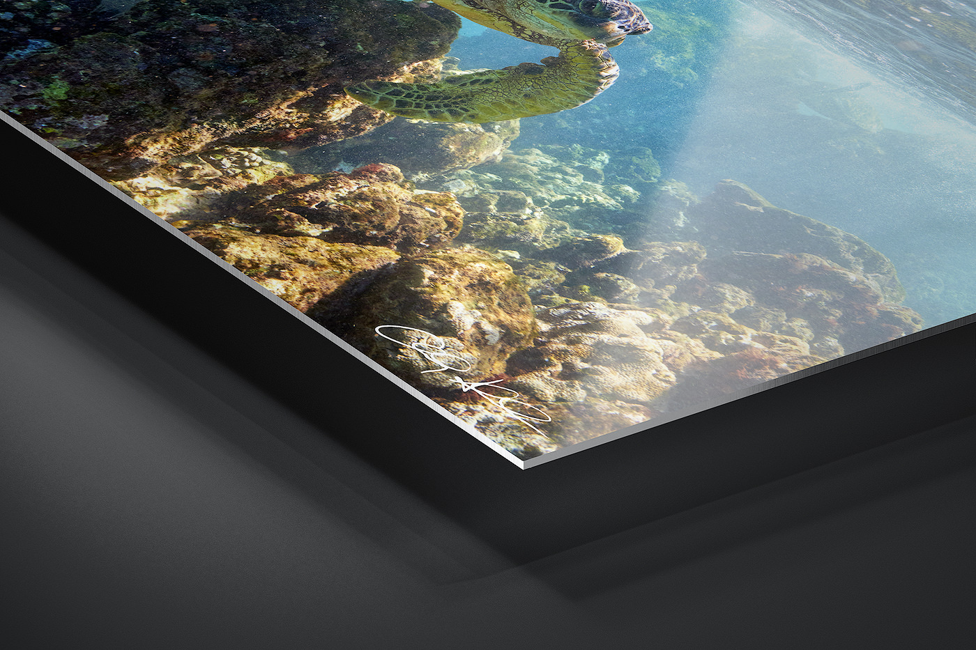 HD Metal Print | Ready to Hang print preview