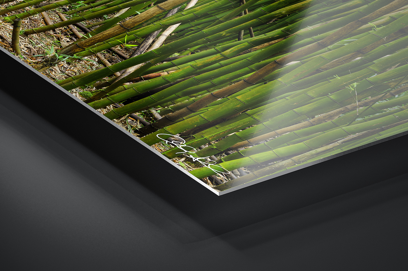 HD Metal Print | Ready to Hang print preview