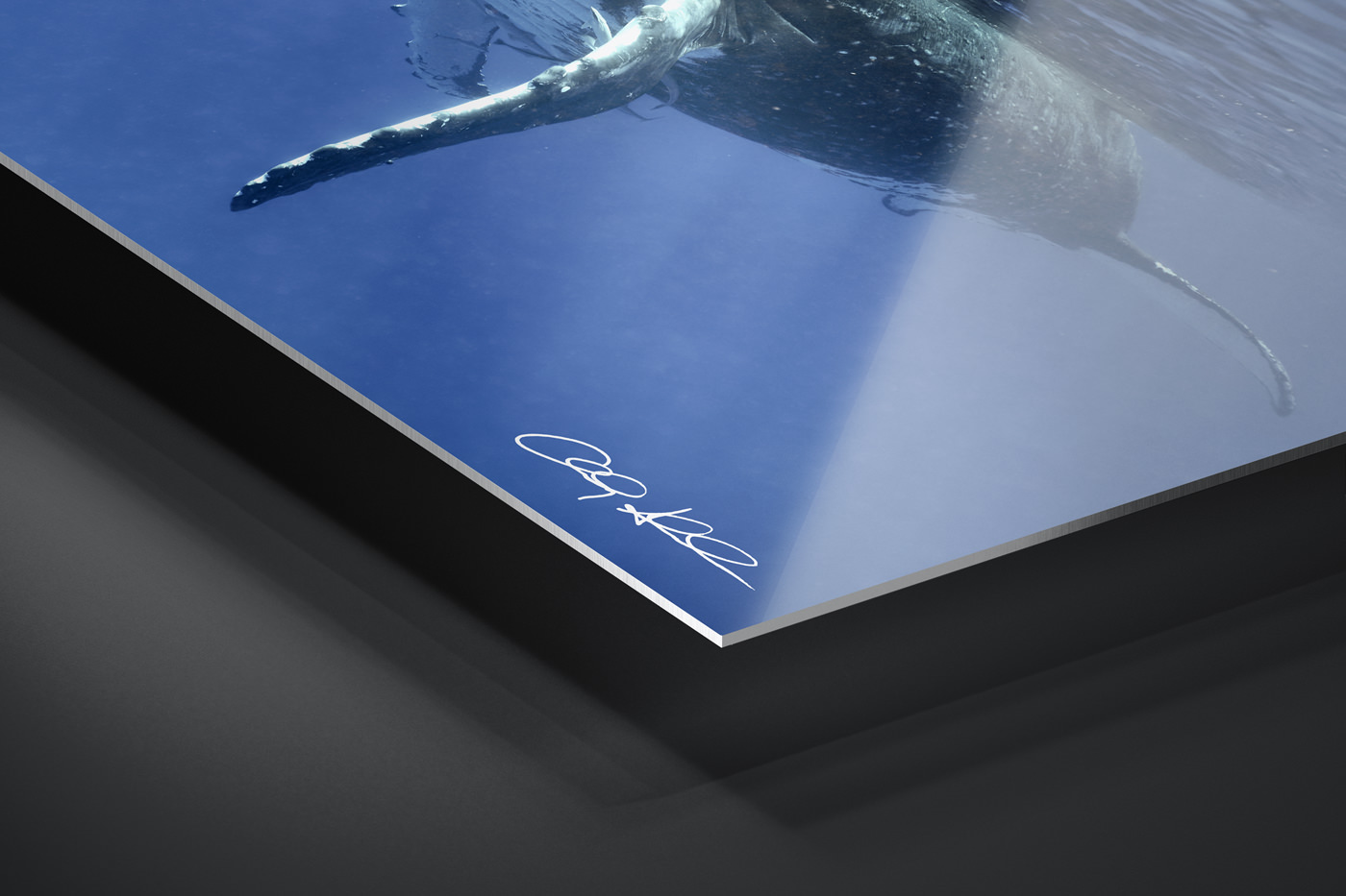 HD Metal Print | Ready to Hang print preview