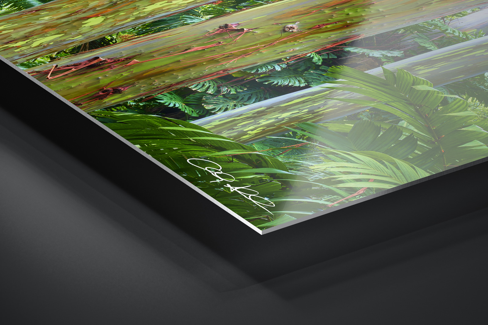 HD Metal Print | Ready to Hang print preview